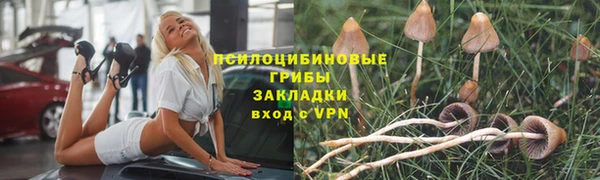 MESCALINE Магас