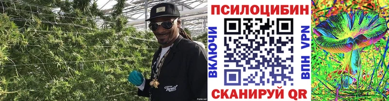 Галлюциногенные грибы мухоморы где найти Мосальск
